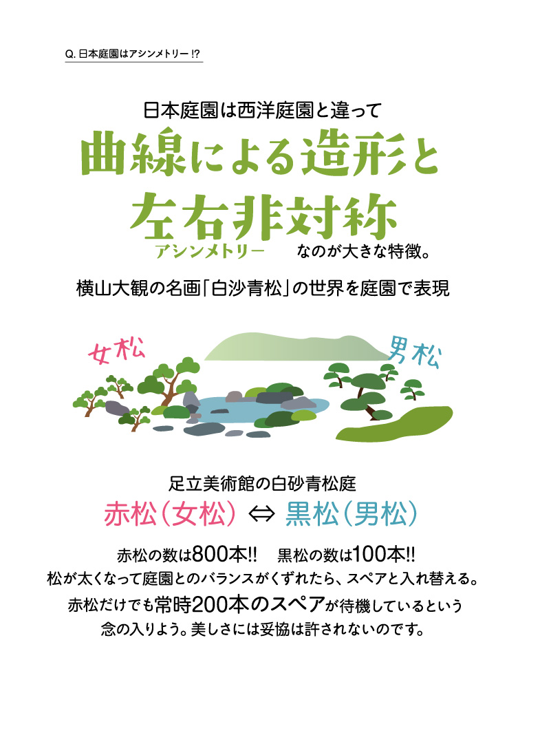 日本庭園の基本はアシンメトリー